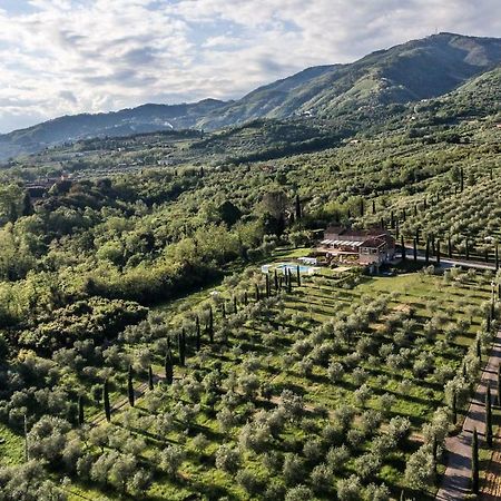 Ampio Appartamento Completamente Rinnovato Con Vista E Piscina Lucca Exteriér fotografie